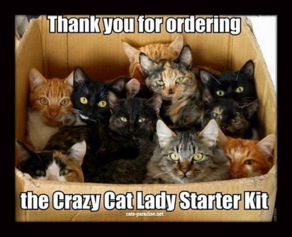 the_crazy_cat_lady_starter_kit_by_kenner